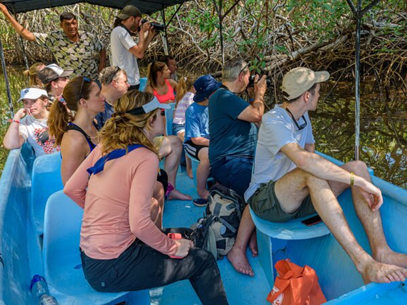 Tamarindo Estuary Boat Safari
