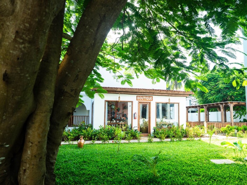 Dream of Zanzibar Garden