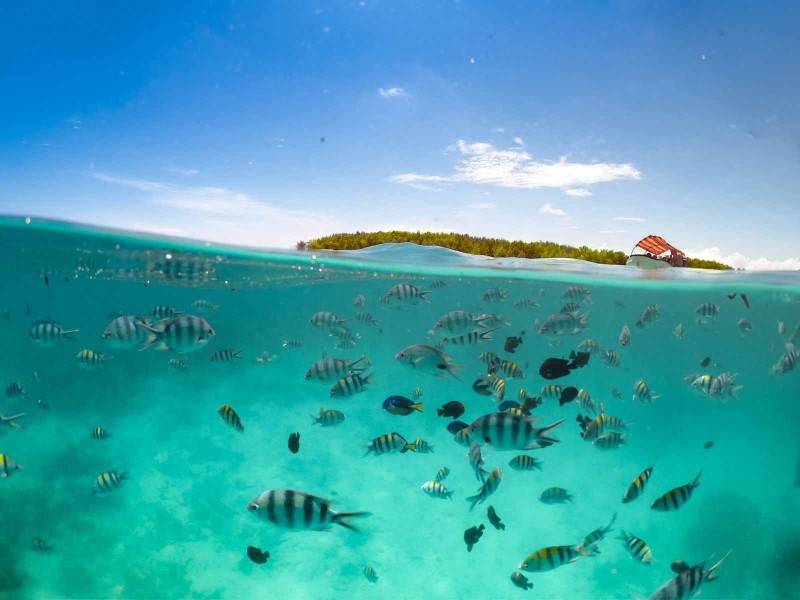 Snorkelling in Zanzibar