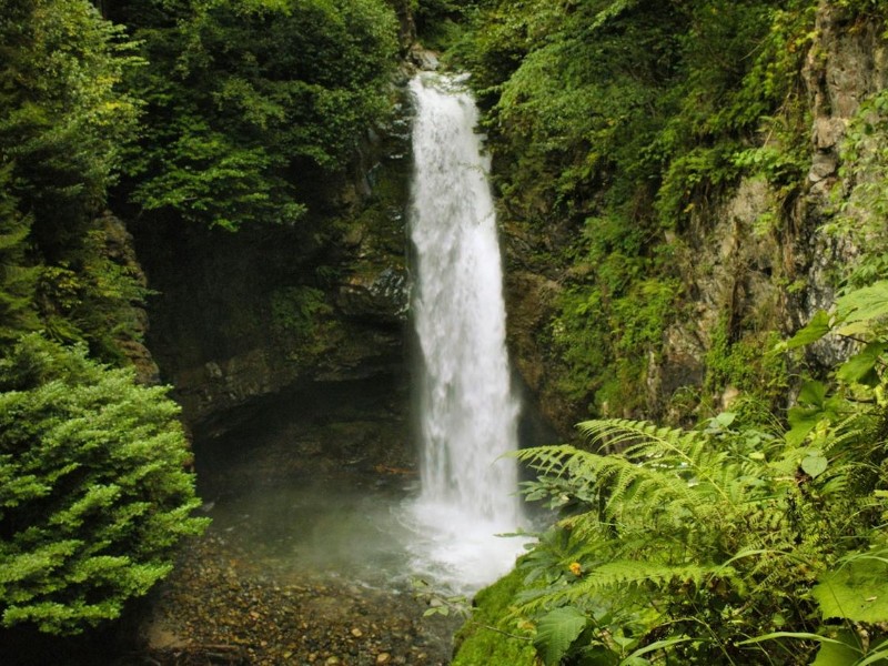 Wli Falls 