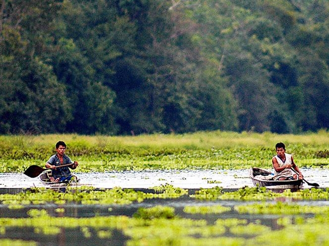 Iquitos Amazon Jungle