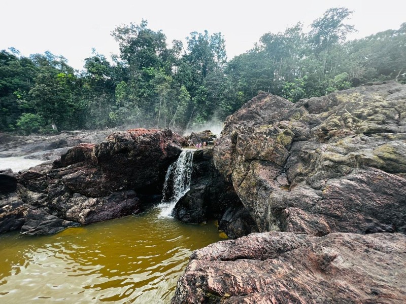 Pool of water at Madia Rainforest