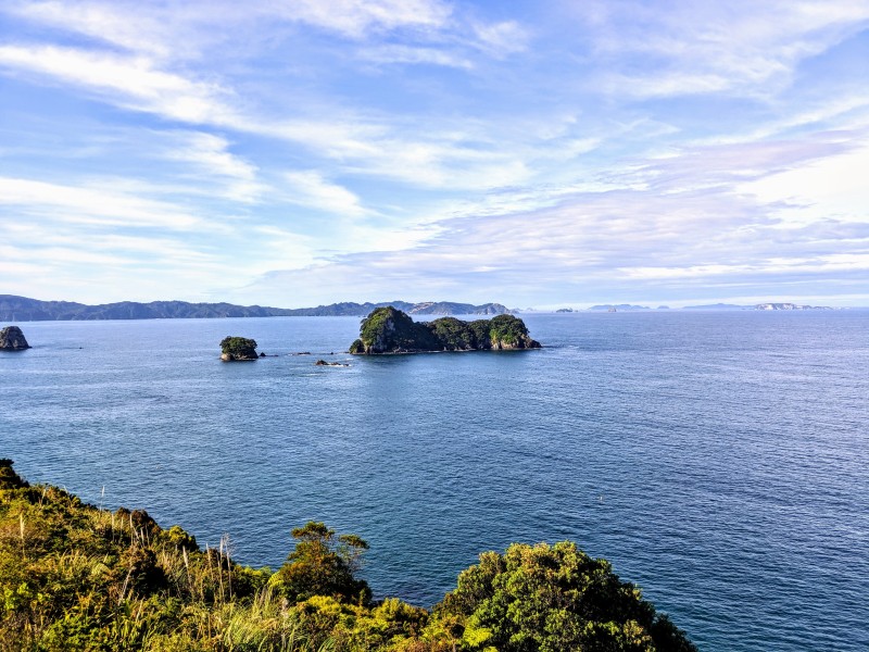 Ocean View in Coromandel