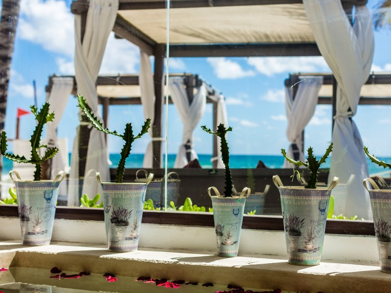 Ana y José - Restaurant