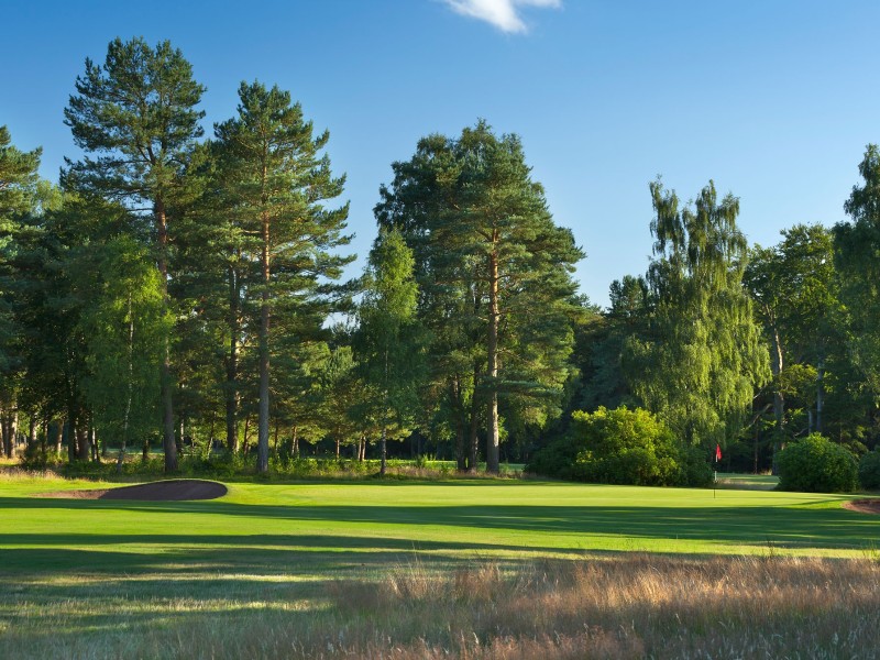 Ladybank golf St. Andrews