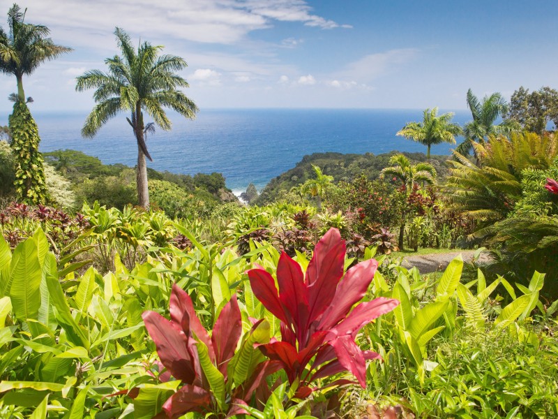 USA - Hawaii - Maui