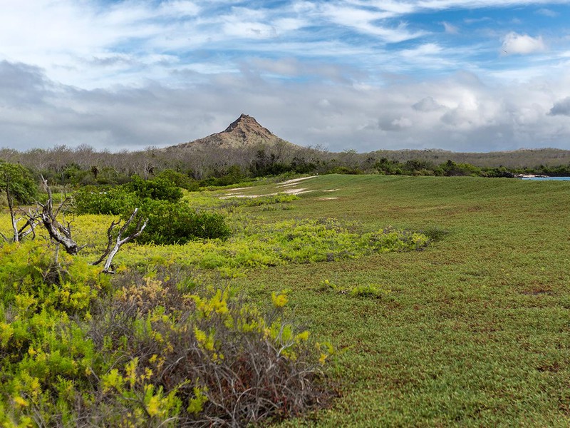 Cerro Brujo auf San Cristóbal