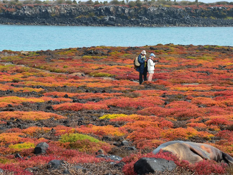 Beeindruckende Landschaft auf Galapagos