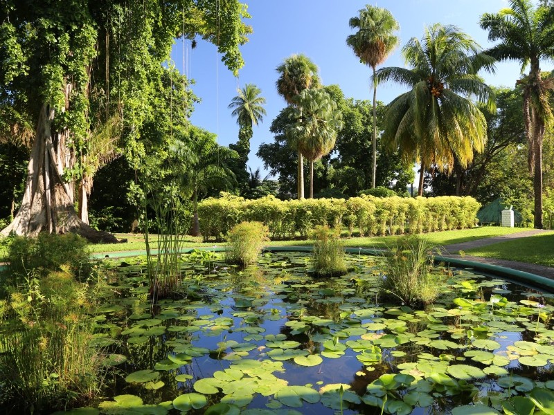 Botanical Gardens SVG