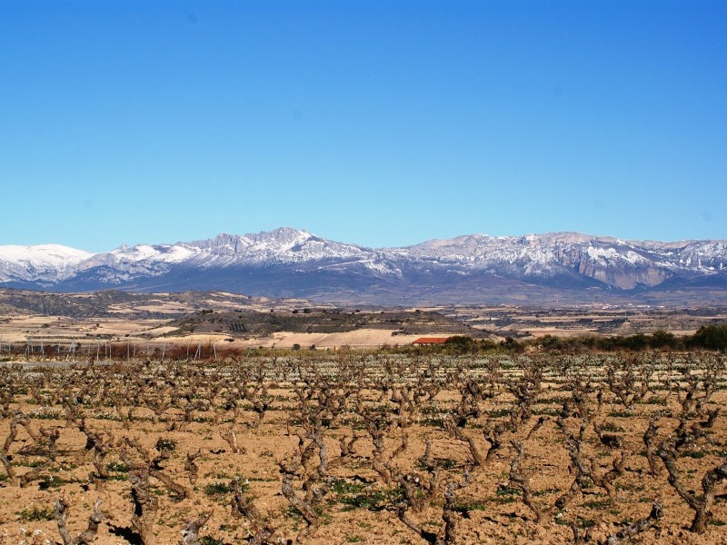 Landscape in Logroño, Spain