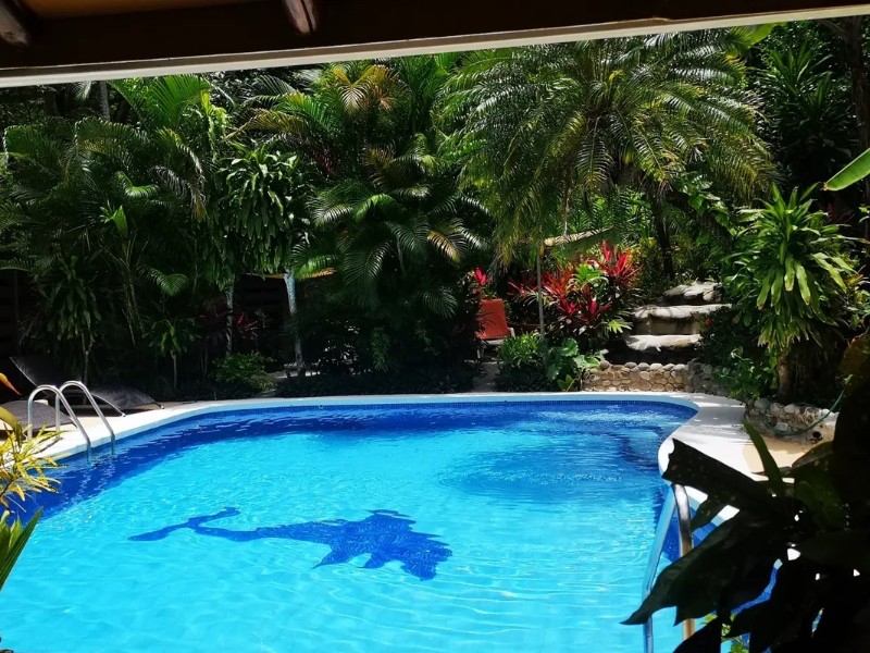 Belvedere - Pool