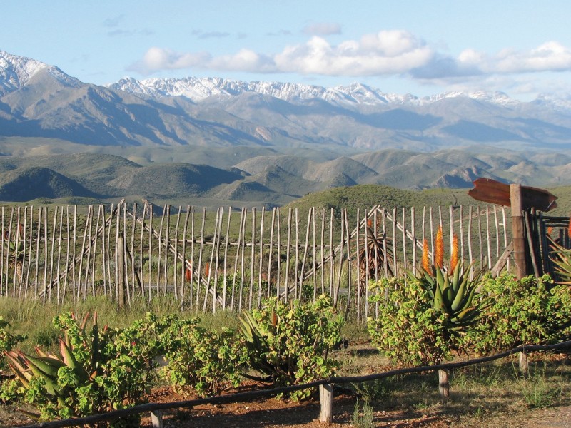 South Africa - Oudtshoorn