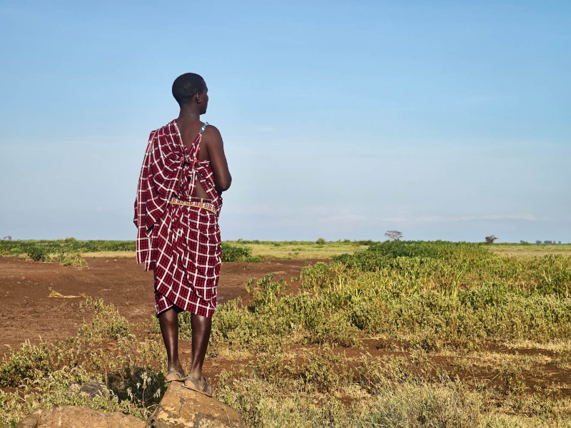 Pirschfahrt im Mikumi-Nationalpark