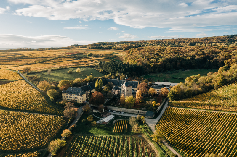 Schloss Vollrads, Rüdesheim
