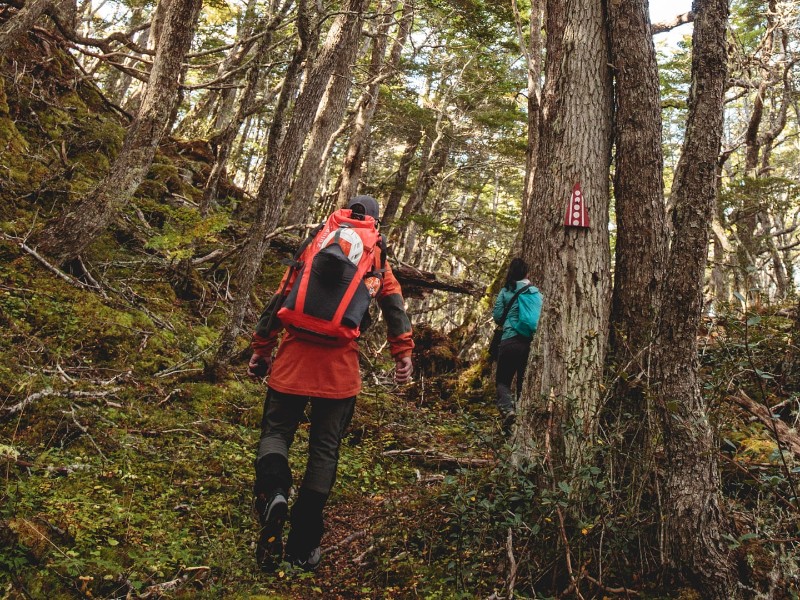 Lodge Deseado - Programm