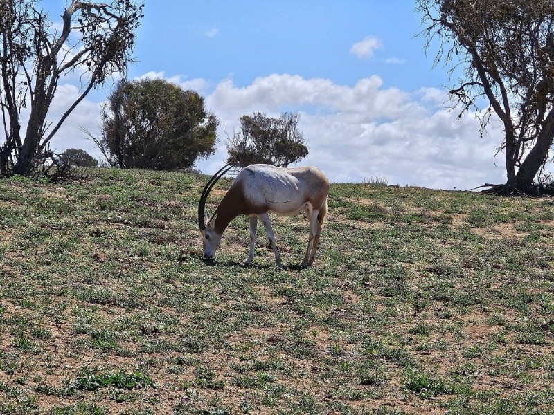 agadir national park 2