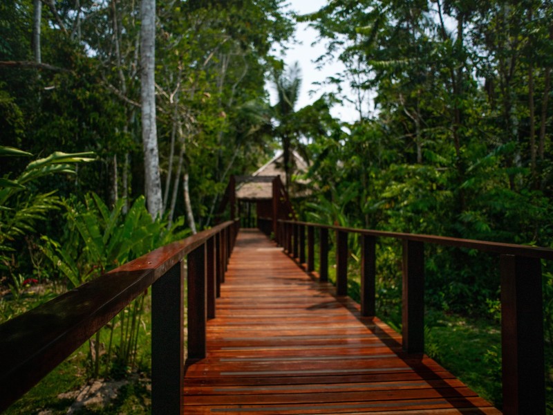 Posada Amazonas - Steg auf Lodge-Gelände