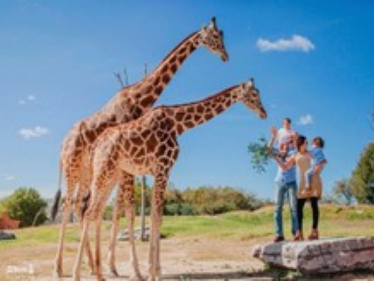 Safari Park in Mexico City