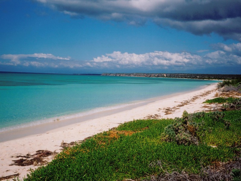 Bahia de las Aguilas