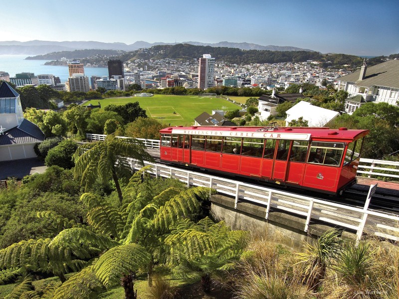 New Zealand - Wellington