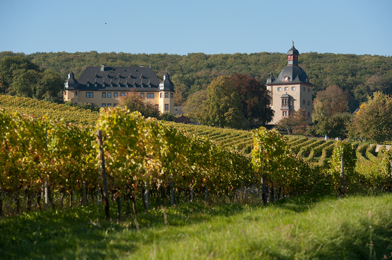 Schloss Vollrads, Rüdesheim