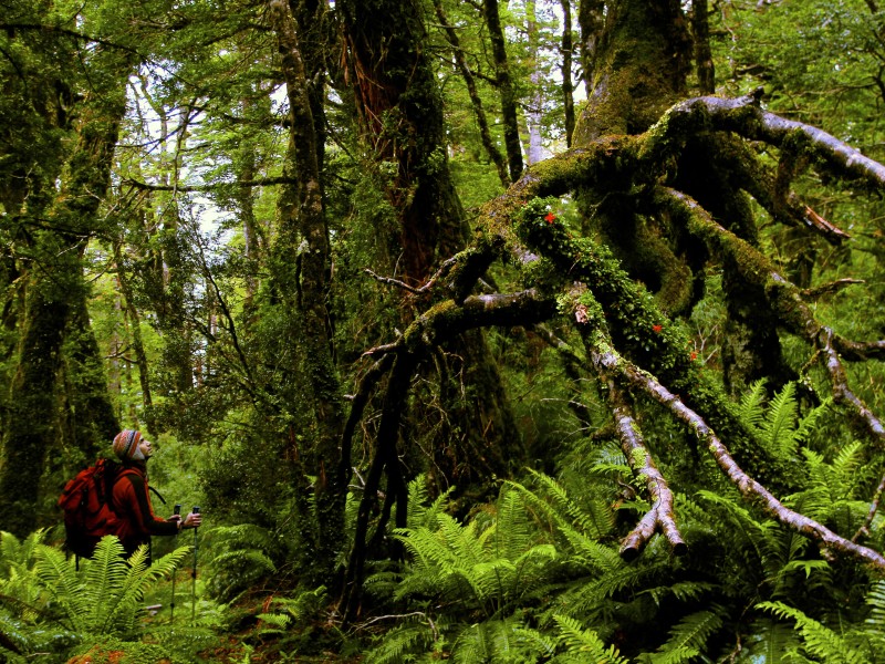 Puyuhuapi Lodge & Spa - Wanderung