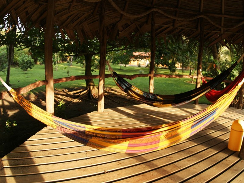 Turtle Beach Lodge - Garten