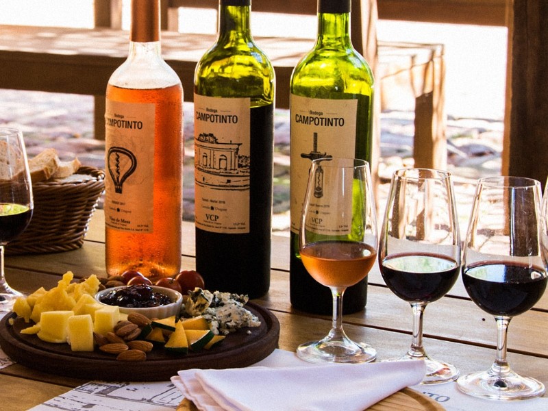 Posada Campo Tinto - Weindegustation
