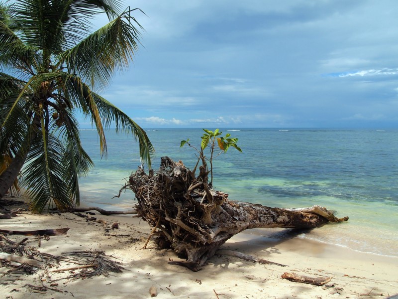 Costa Rica - Cahuita NP