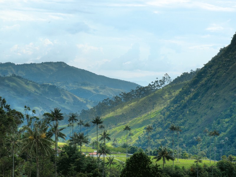 Valle de Cocora