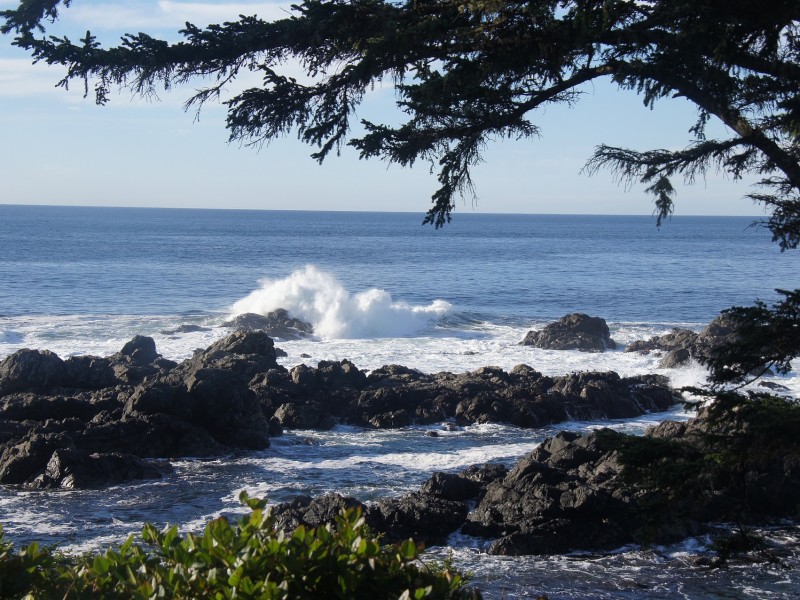 Ucluelet Coast, Canada
