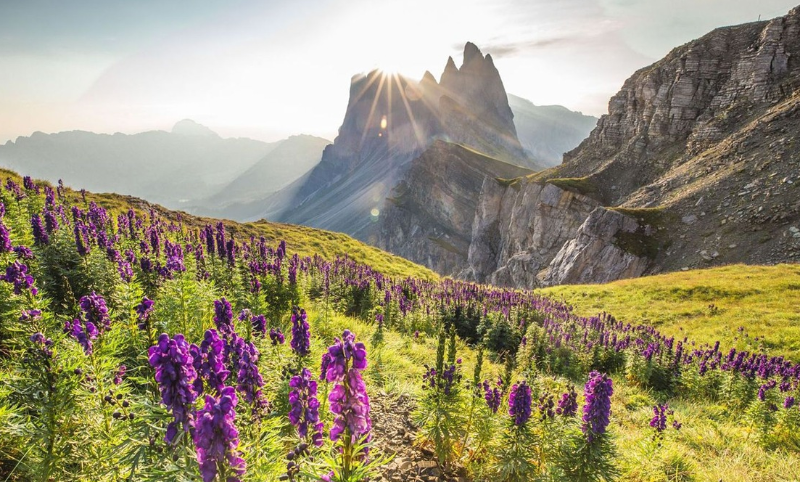 Val Gardena