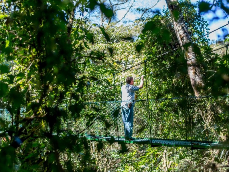 Sueños del Bosque - Hängebrücke