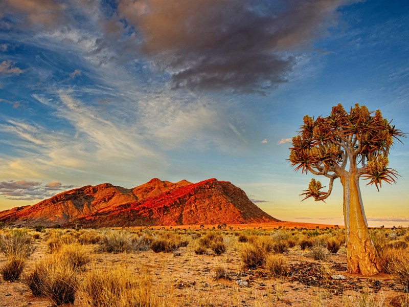 Namibia - Kalahari Wüste ©Sproetniek-gty