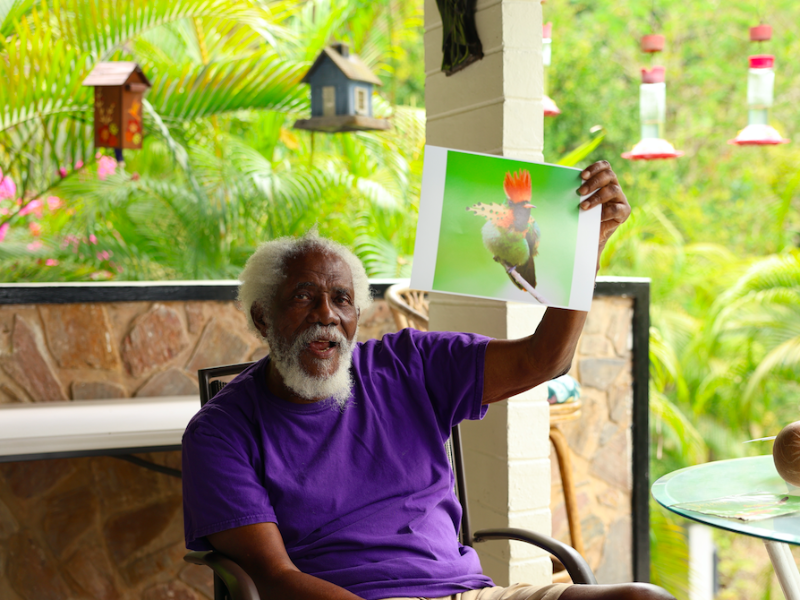 Home of the Hummingbird- Trinidad