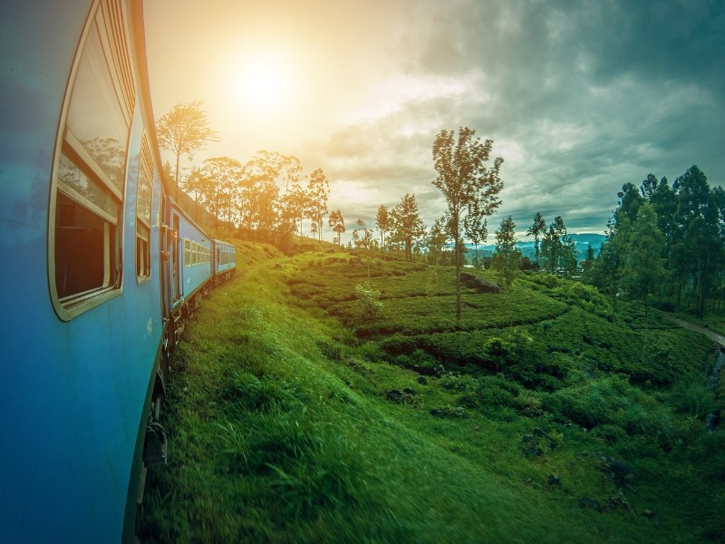 Train Journey