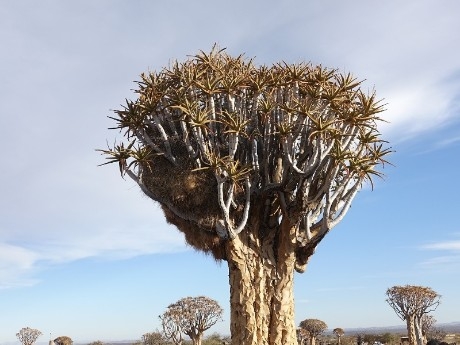 Namibia - Fish River Canyon