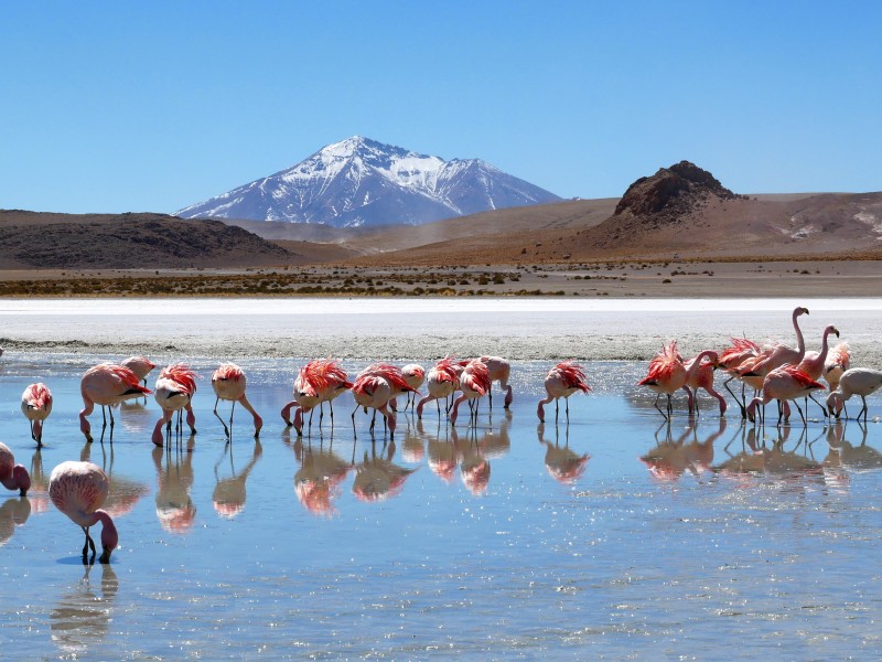 Kleiner Lagunen auf dem Weg zur Siloli-W