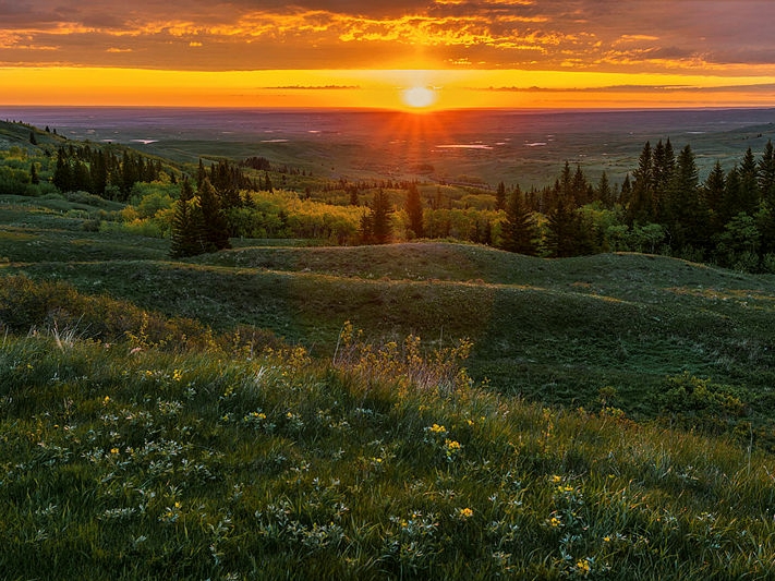 Canada - Medicine Hat