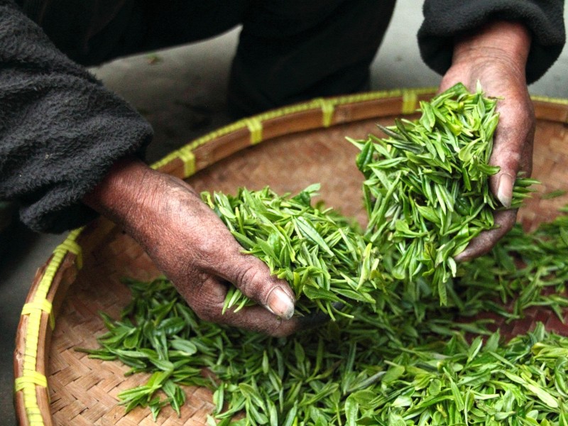 Tea Leaves