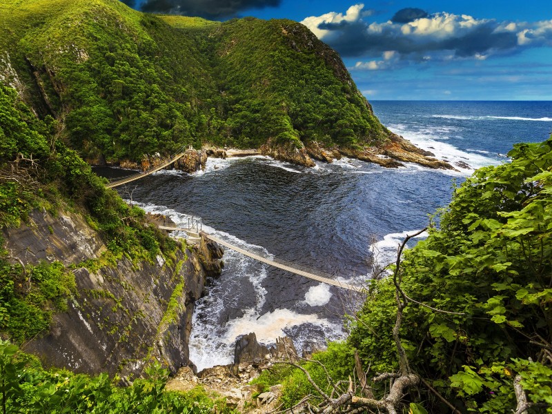 South Africa - Tsitsikamma