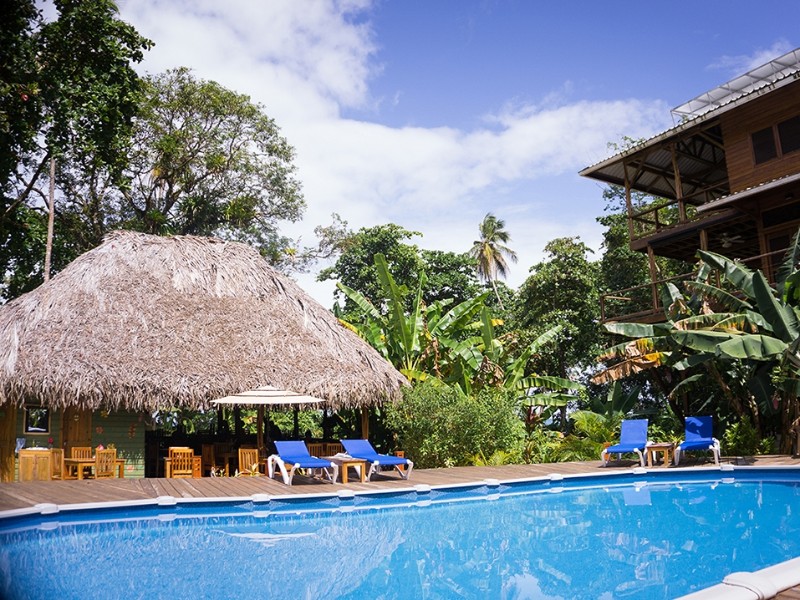 The Hummingbird - Pool