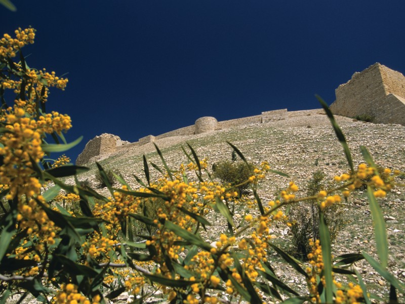 Shobak Castle