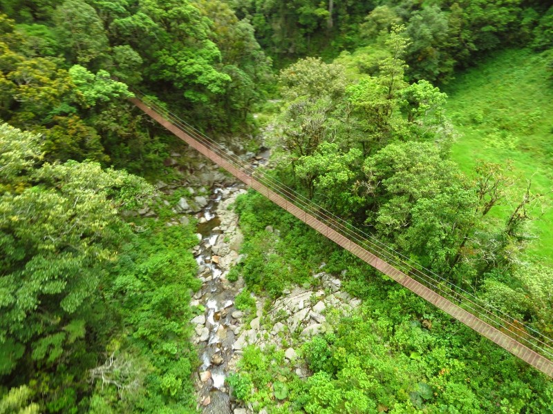 Tree Trek Mountain Resort - Hängebrücke