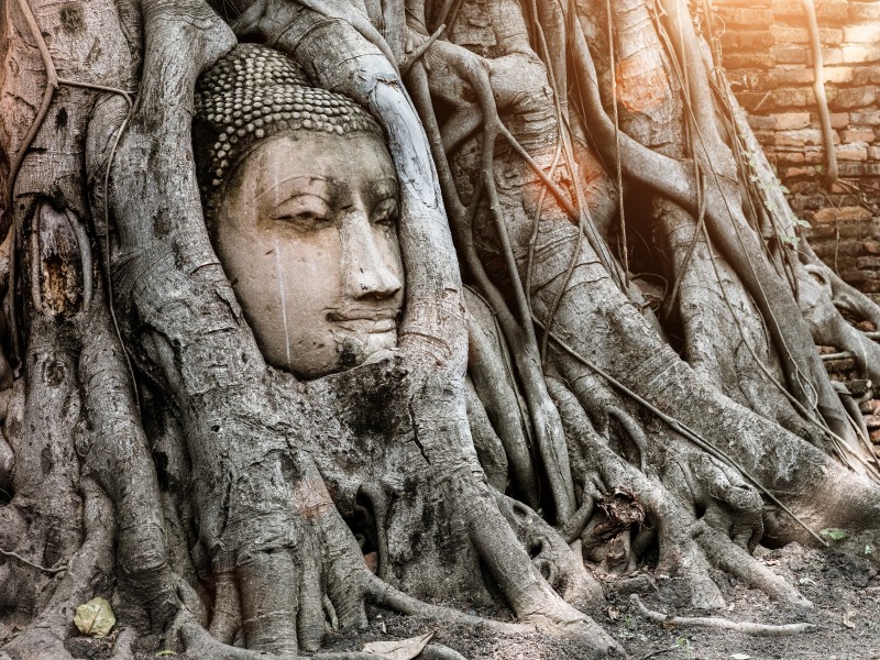 Thailand - Ayutthaya