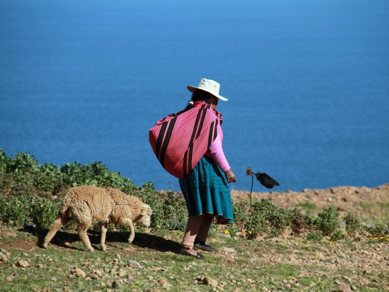 Lake Titicaca local life