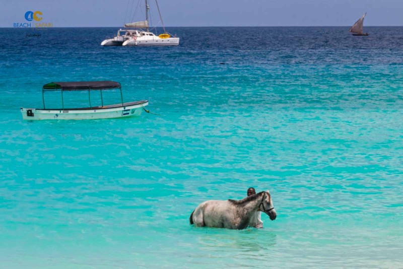 Horse Riding in Zanzibar