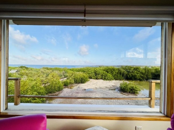 Incredible Views Over the Mangroves