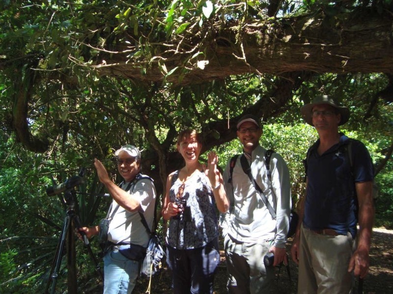 Monteverde - Naturtour