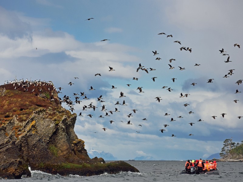 Australis - Tucker Islets